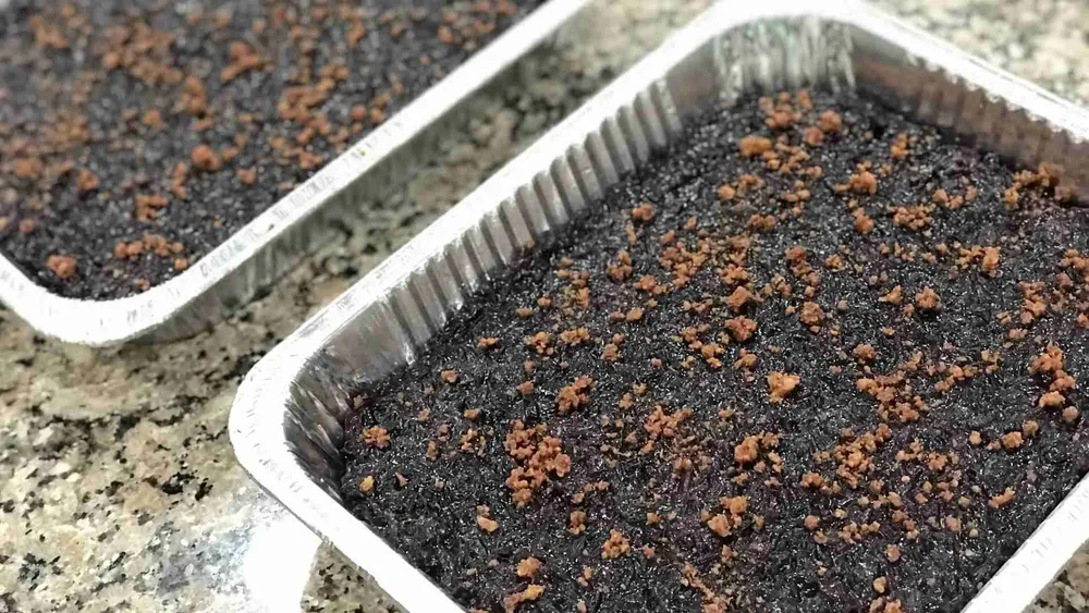 two trays of biko a filipino rice treat