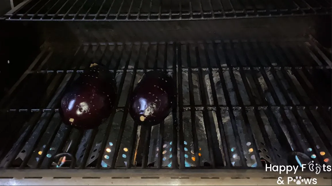 Two eggplants cooking on a grill