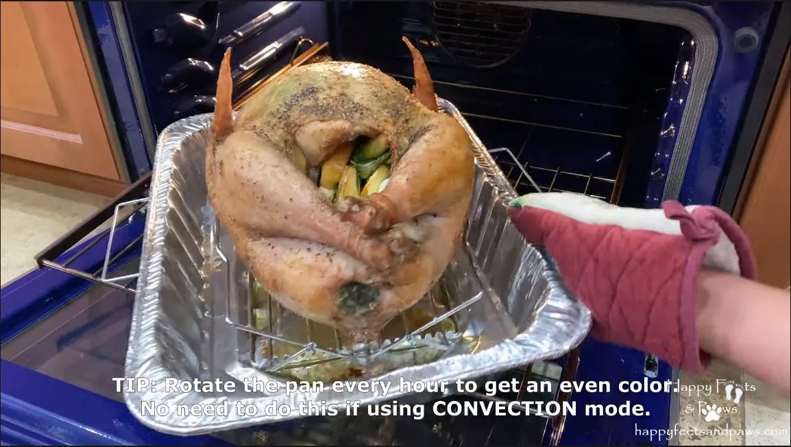 placing turkey in the oven to cook